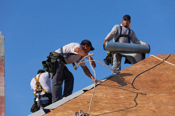 Best Roof Waterproofing Services  in Bertville, AL
