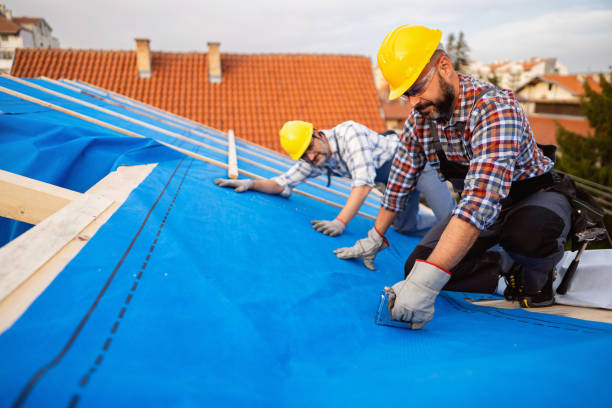 Best Flat Roof Repair Services  in Bertville, AL