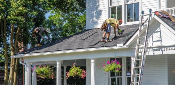 Best Roof Gutter Cleaning  in Bertville, AL