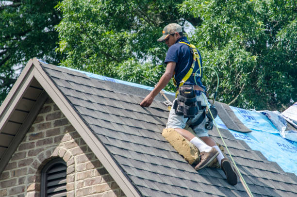Best Roof Gutter Cleaning  in Bertville, AL